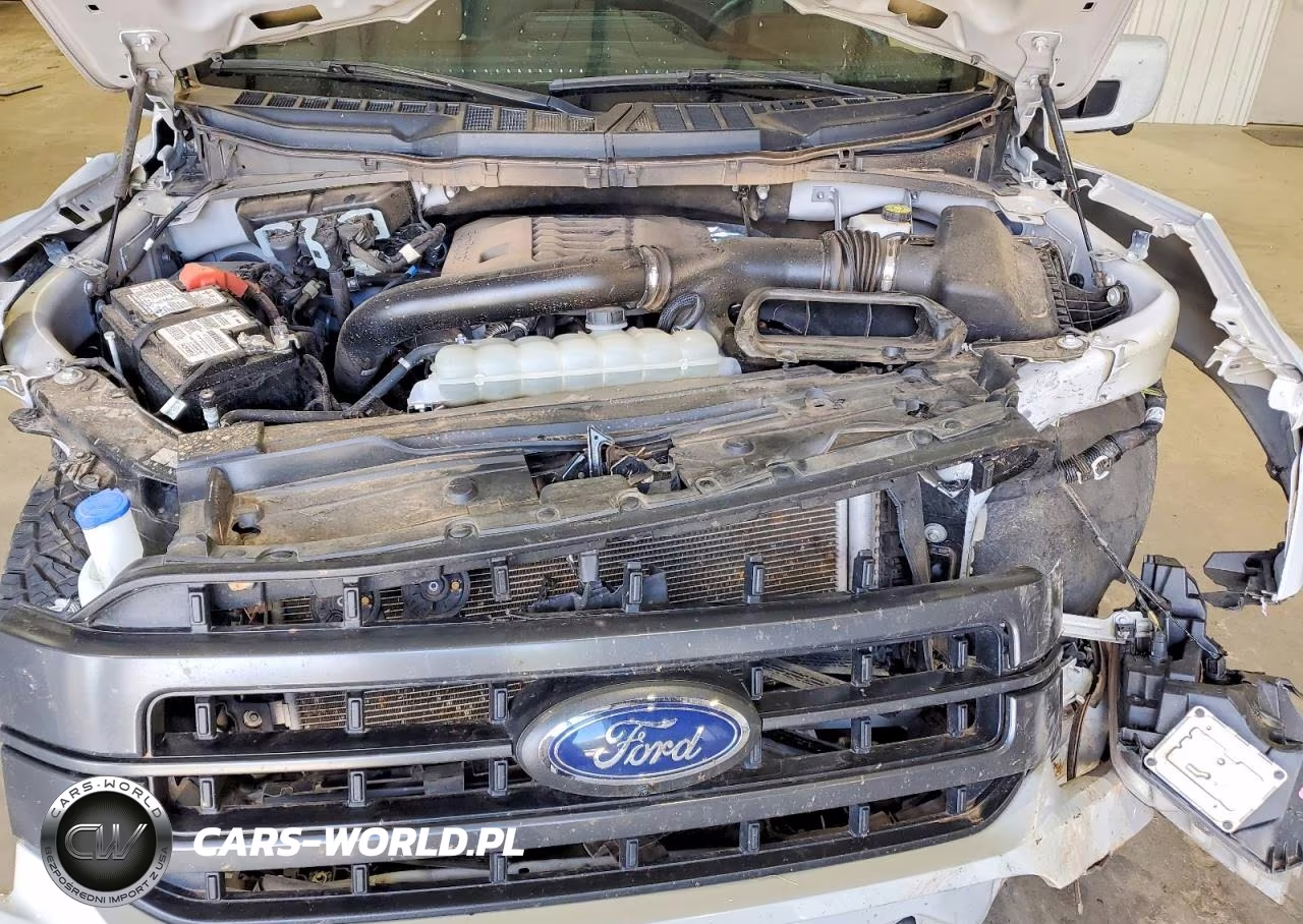 2023 Ford F150 Supercrew VIN:1FTFW1E8XPKE63694 - 11