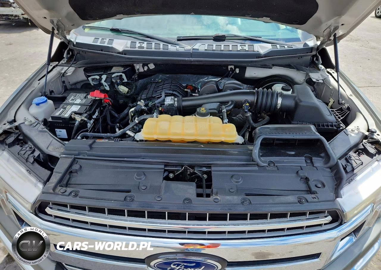 2019 Ford F150 Supercrew VIN:1FTEW1CB3KKE67198 - 11