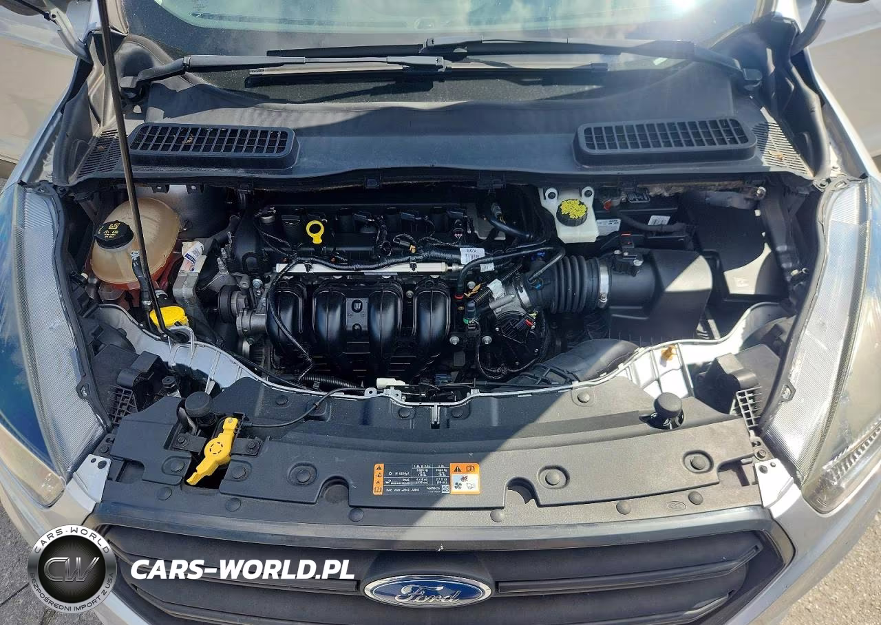 2019 Ford Escape S VIN:1FMCU0F71KUB94910 - 12