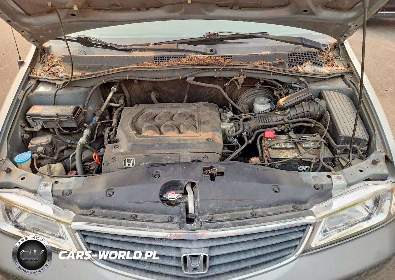 2000 Honda Odyssey Ex VIN:2HKRL1862YH554460 - 11