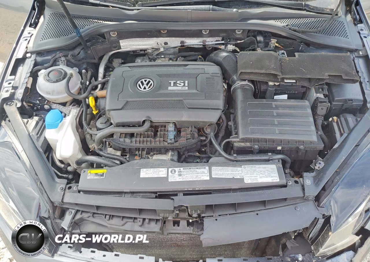 2018 Volkswagen Golf R VIN:WVWVF7AU8JW058225 - 11