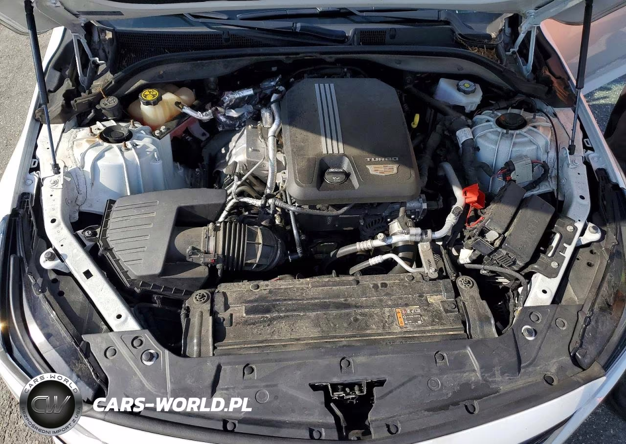 2022 Cadillac Ct5 Premium Luxury VIN:1G6DN5RK6N0118990 - 11