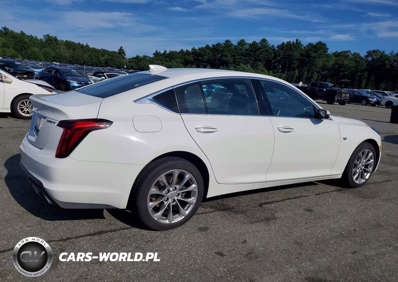2022 Cadillac Ct5 Premium Luxury VIN:1G6DN5RK6N0118990 - 3