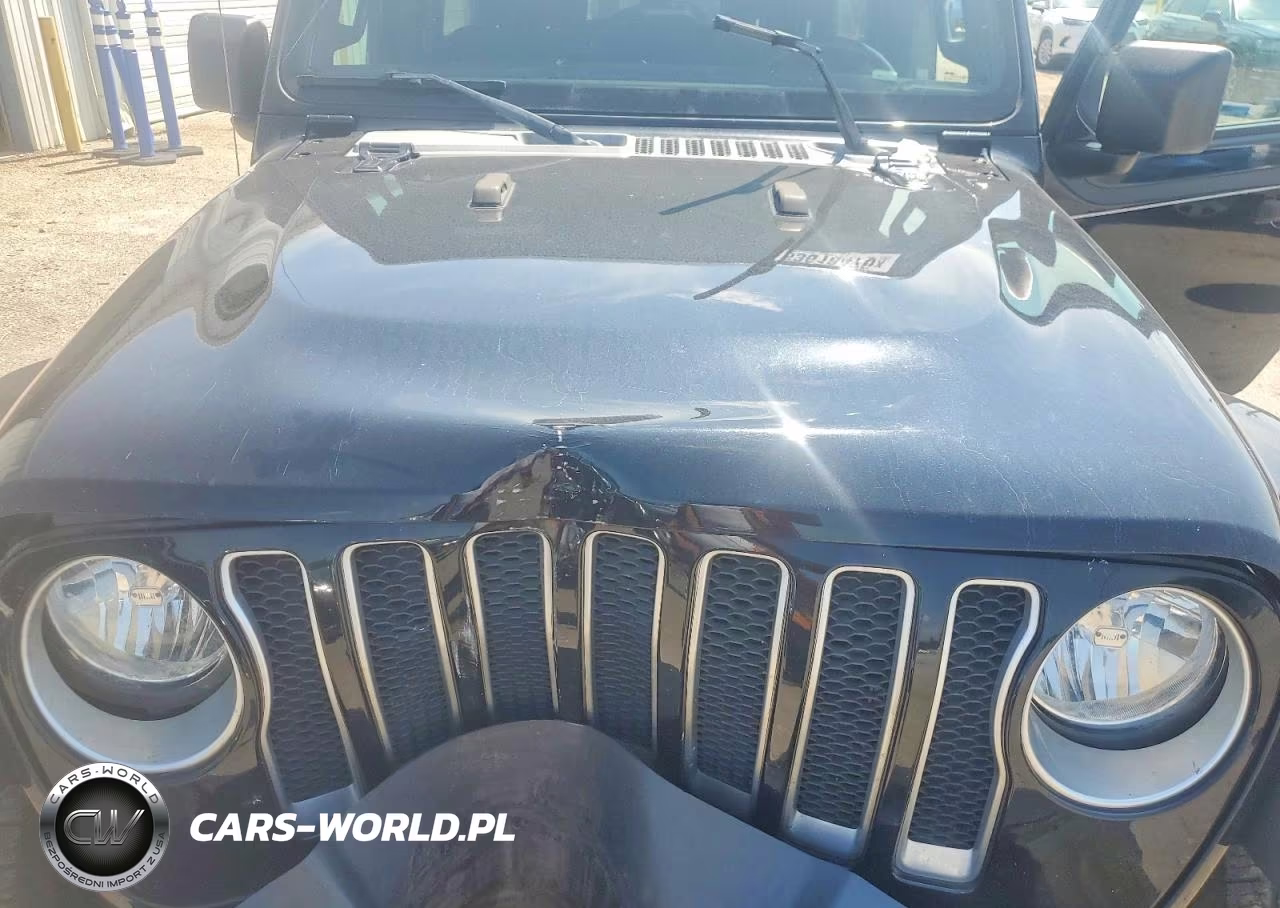 2020 Jeep Wrangler Unlimited Sahara VIN:1C4HJXEN2LW161237 - 11