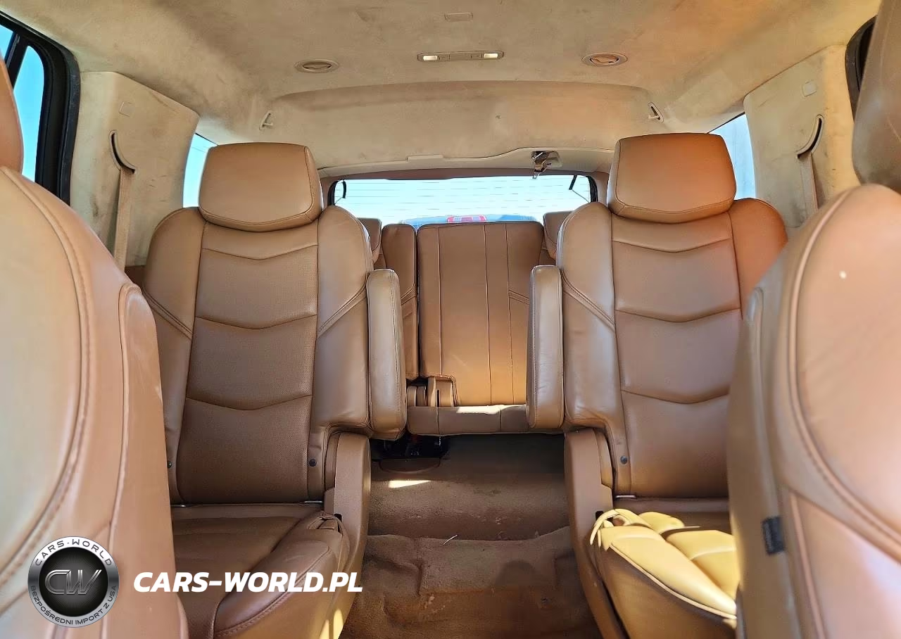 2016 Cadillac Escalade Platinum VIN:1GYS4DKJXGR168495 - 10