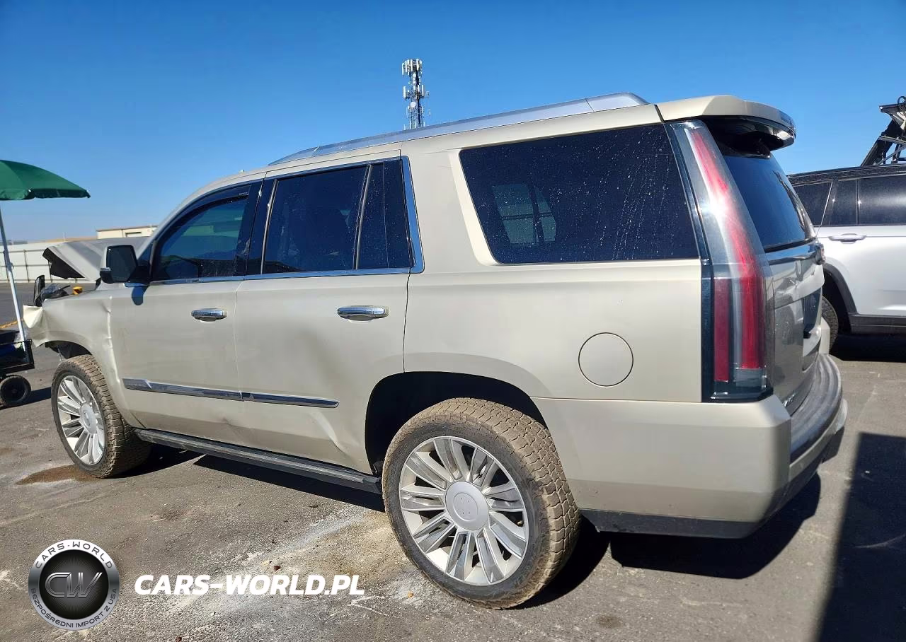 2016 Cadillac Escalade Platinum VIN:1GYS4DKJXGR168495 - 2