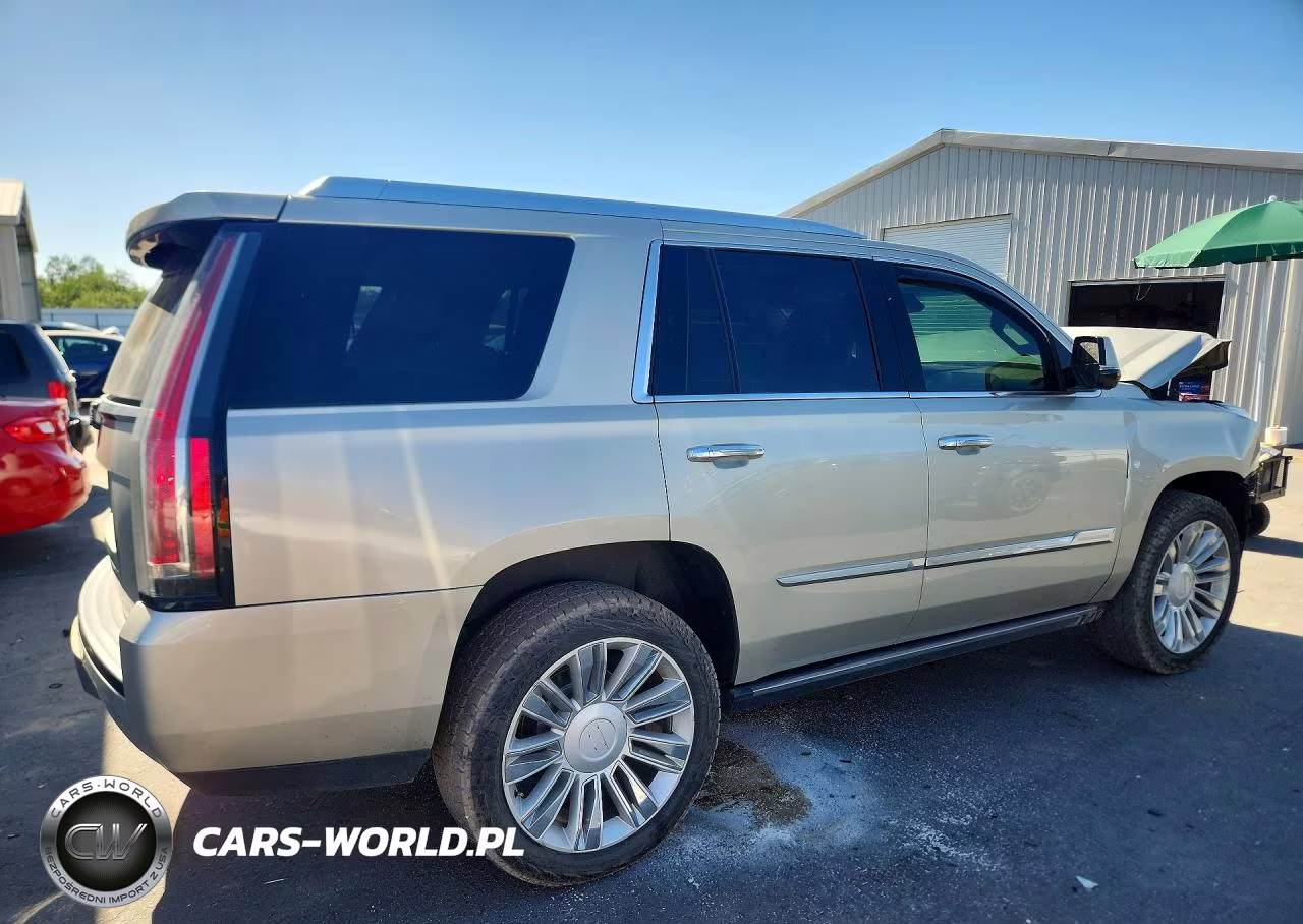2016 Cadillac Escalade Platinum VIN:1GYS4DKJXGR168495 - 3