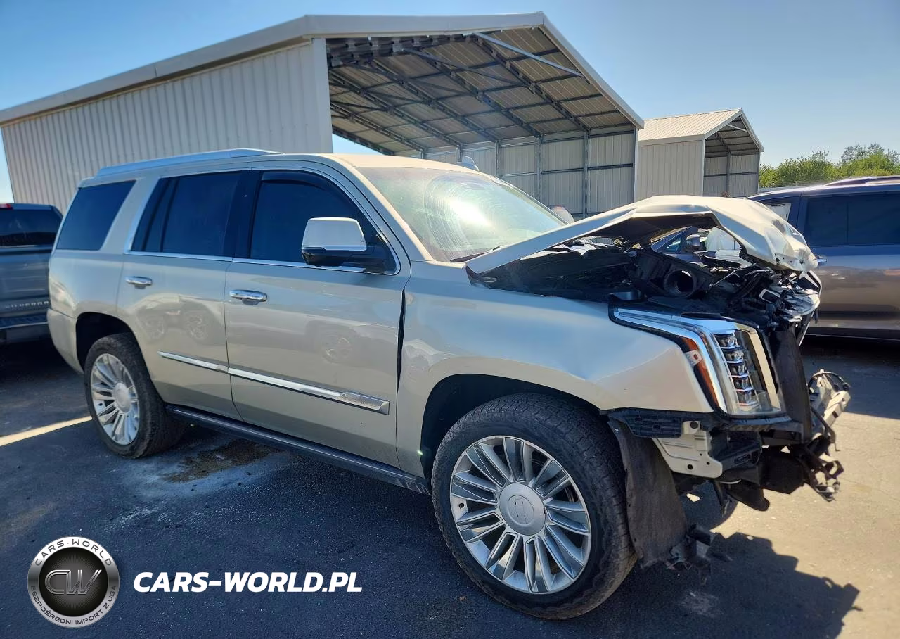2016 Cadillac Escalade Platinum VIN:1GYS4DKJXGR168495 - 4