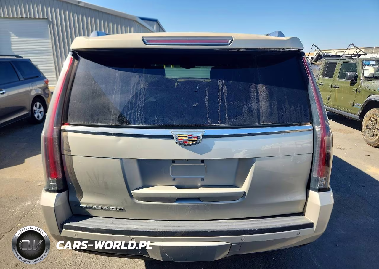2016 Cadillac Escalade Platinum VIN:1GYS4DKJXGR168495 - 6