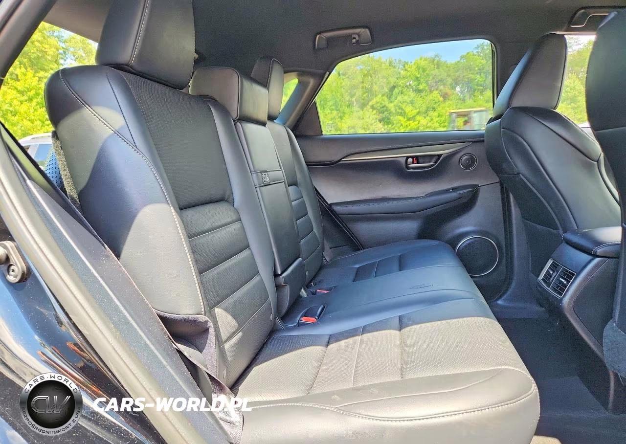 2020 Lexus Nx 300 F Sport VIN:JTJSARDZ9L5009030 - 11