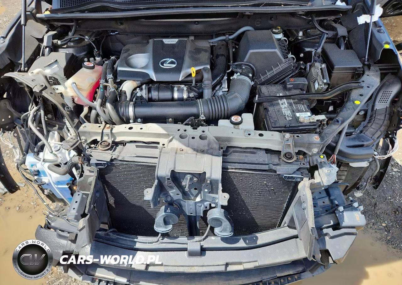 2020 Lexus Nx 300 F Sport VIN:JTJSARDZ9L5009030 - 12