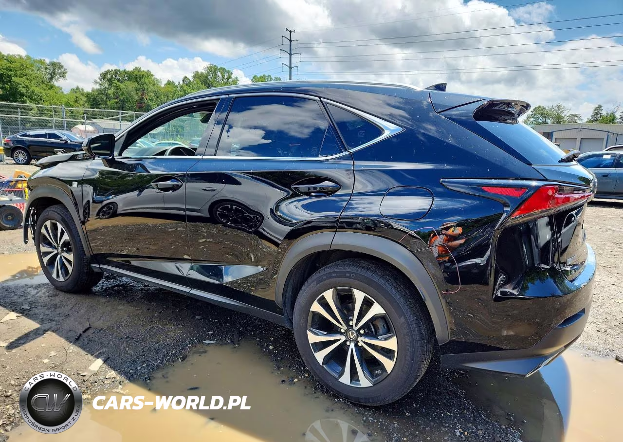 2020 Lexus Nx 300 F Sport VIN:JTJSARDZ9L5009030 - 2