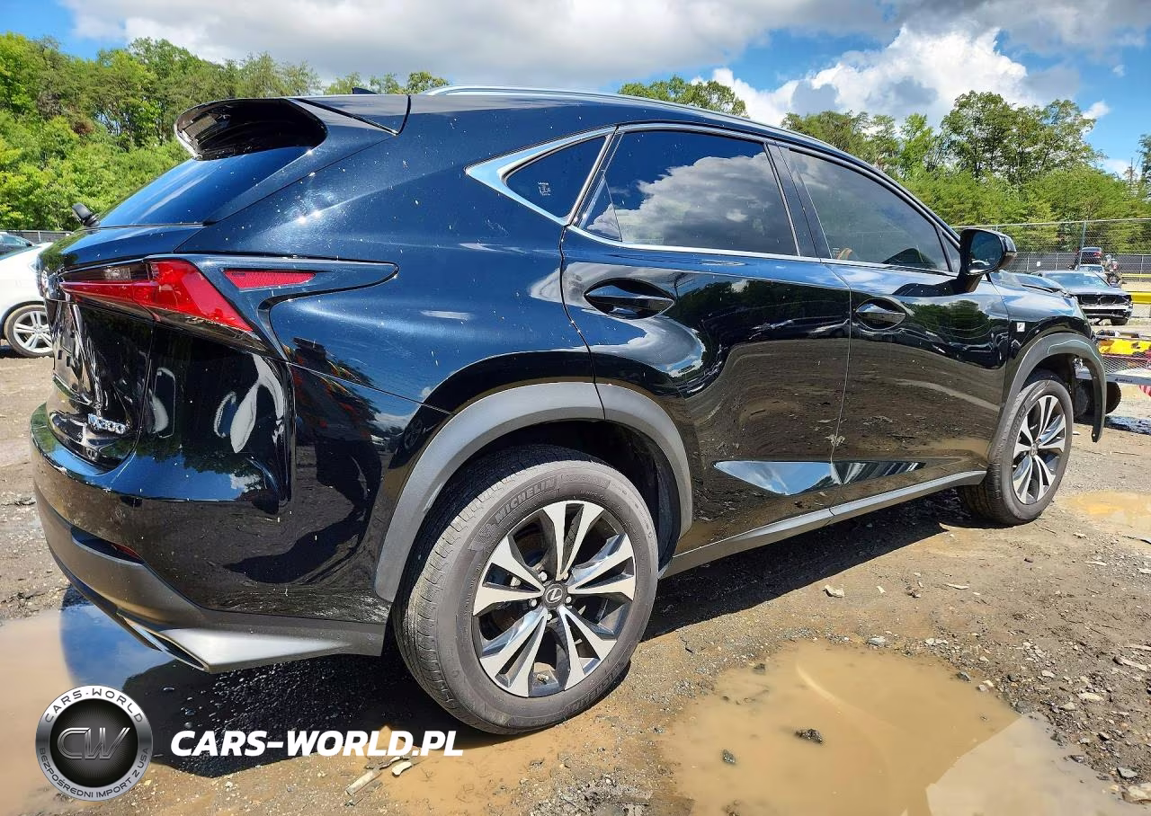 2020 Lexus Nx 300 F Sport VIN:JTJSARDZ9L5009030 - 3