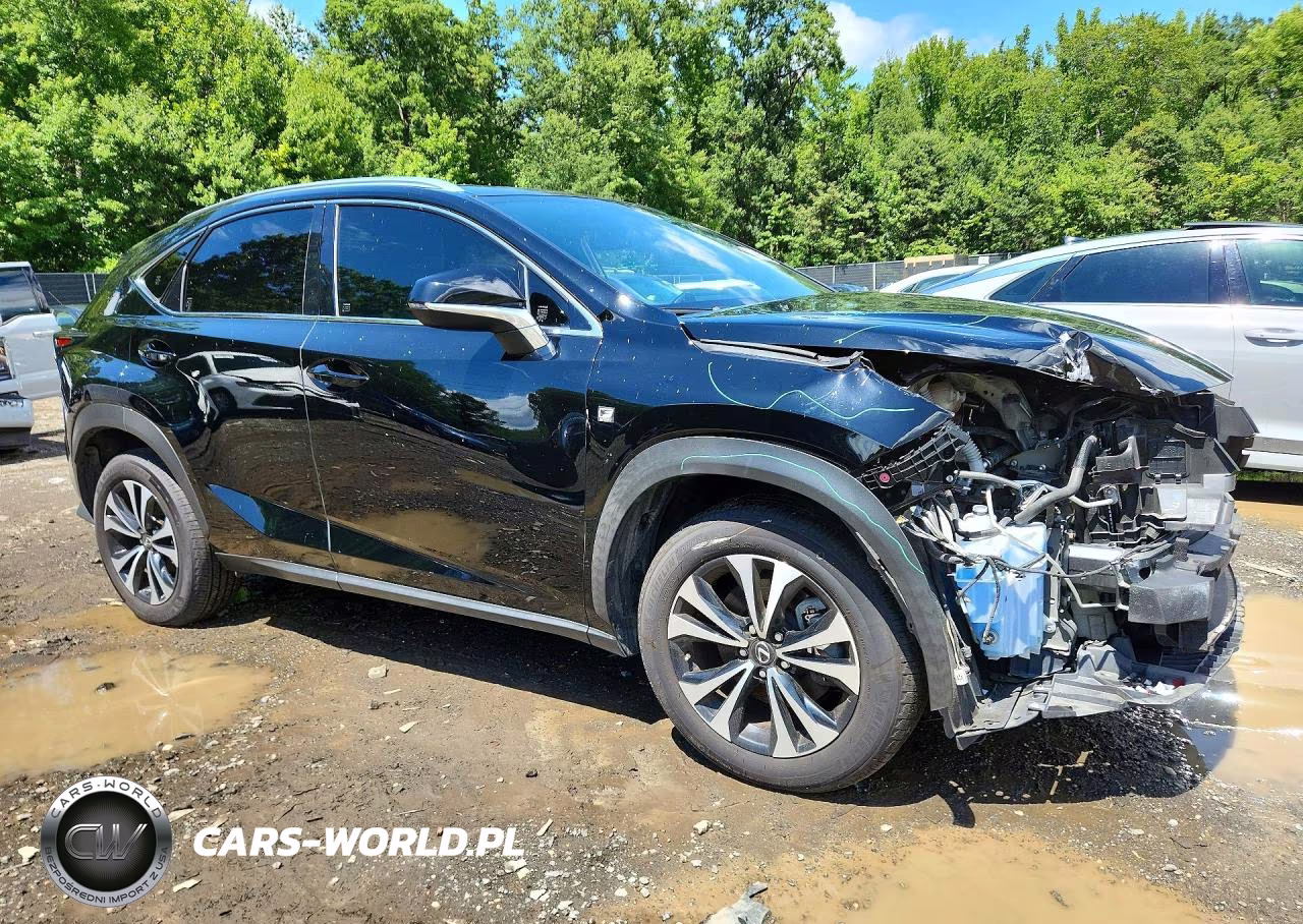 2020 Lexus Nx 300 F Sport VIN:JTJSARDZ9L5009030 - 4