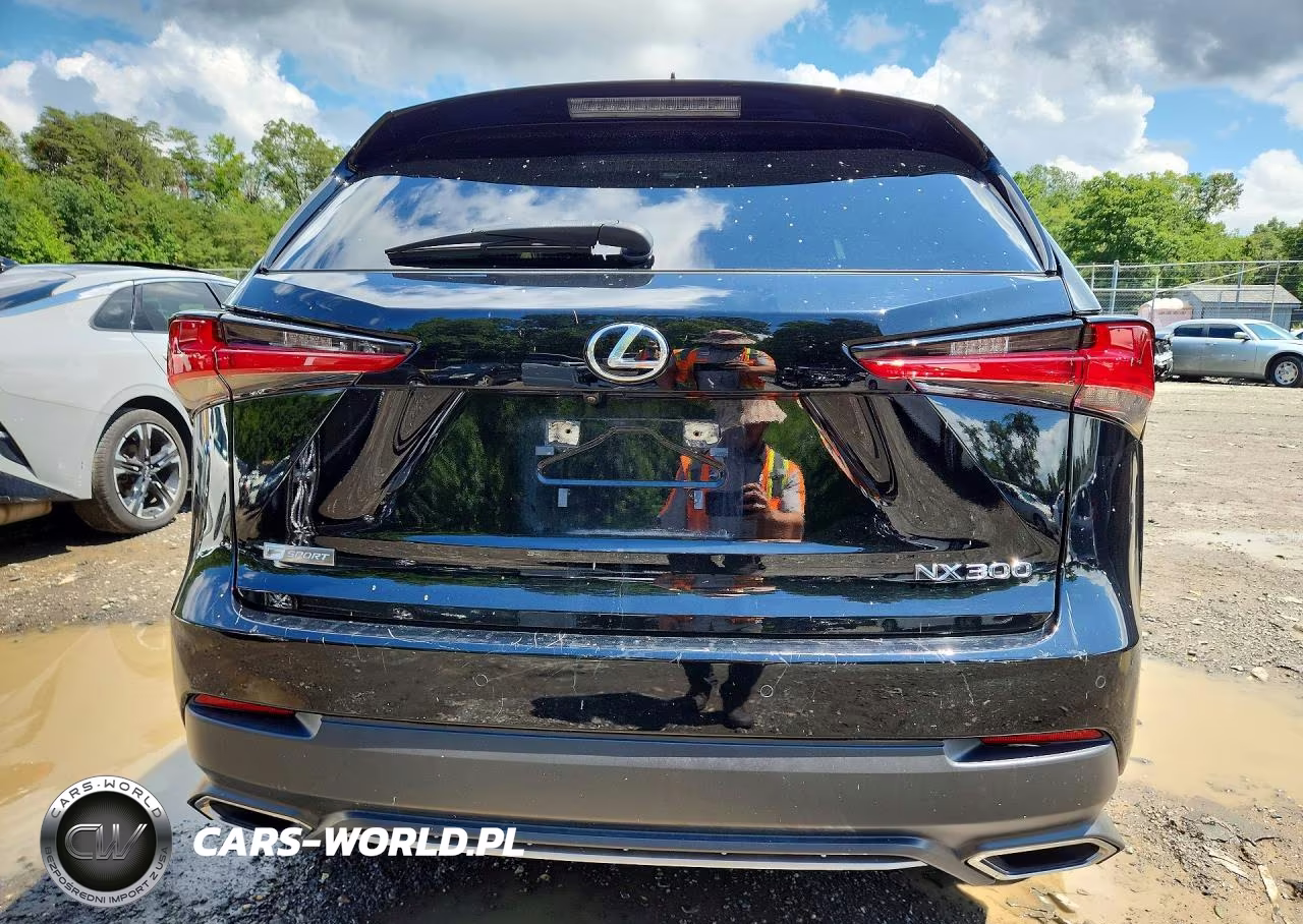 2020 Lexus Nx 300 F Sport VIN:JTJSARDZ9L5009030 - 6