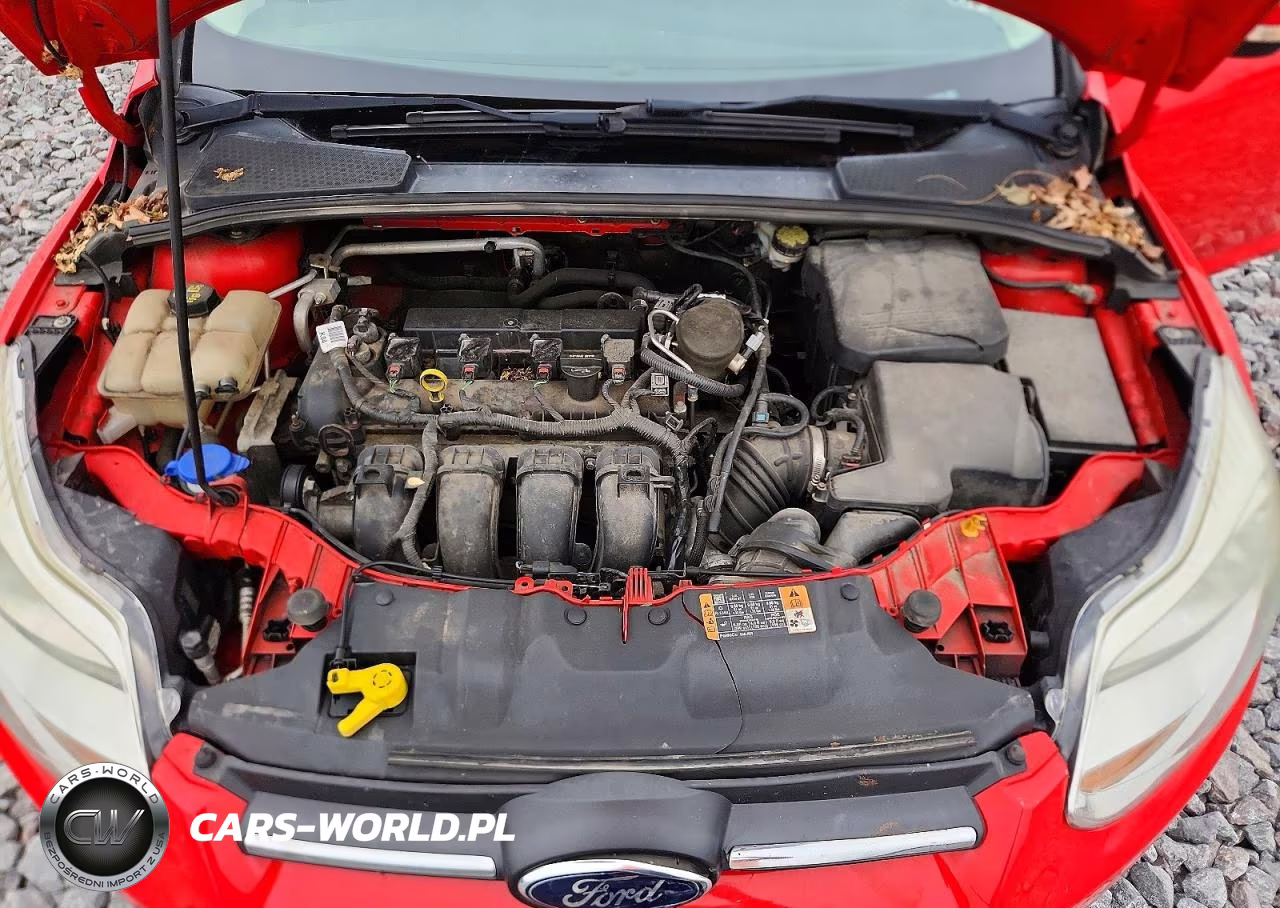 2014 Ford Focus Se VIN:1FADP3F2XEL318176 - 11