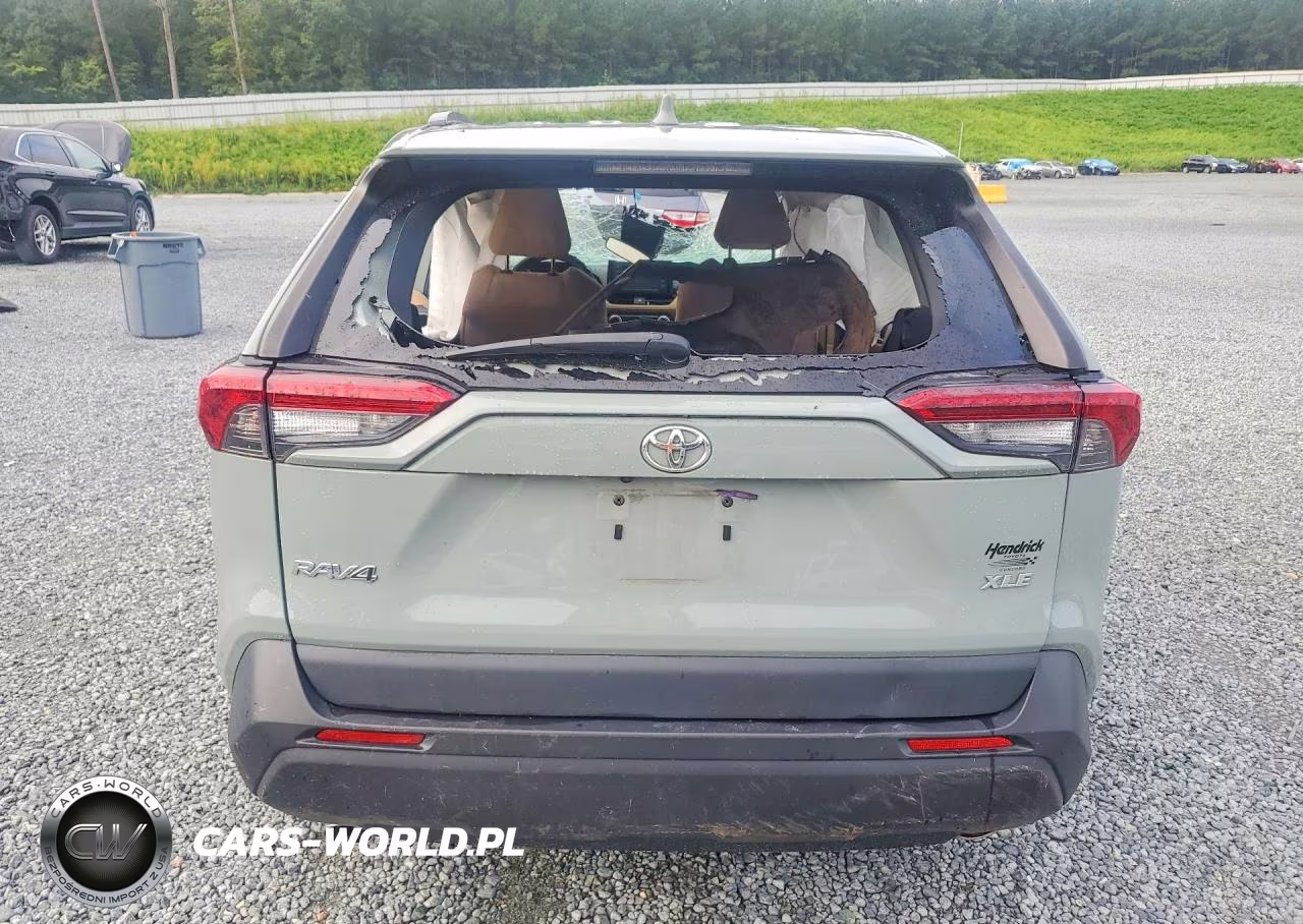 2019 Toyota Rav4 Xle VIN:2T3W1RFV8KW014709 - 6