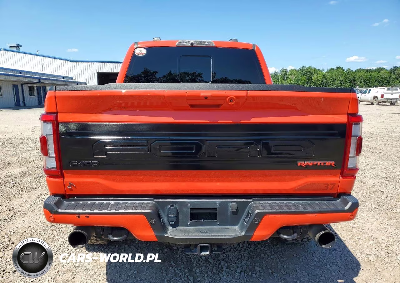 2023 Ford F150 Raptor VIN:1FTFW1RG3PFC76484 - 6