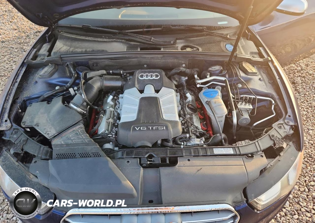 2013 Audi S5 Premium Plus VIN:WAUGGAFR4DA049558 - 11