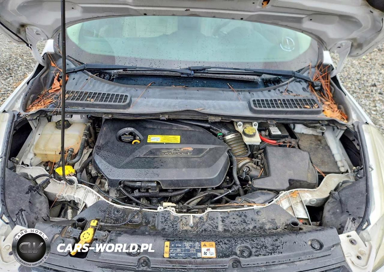2014 Ford Escape Se VIN:1FMCU0GX0EUC34820 - 12
