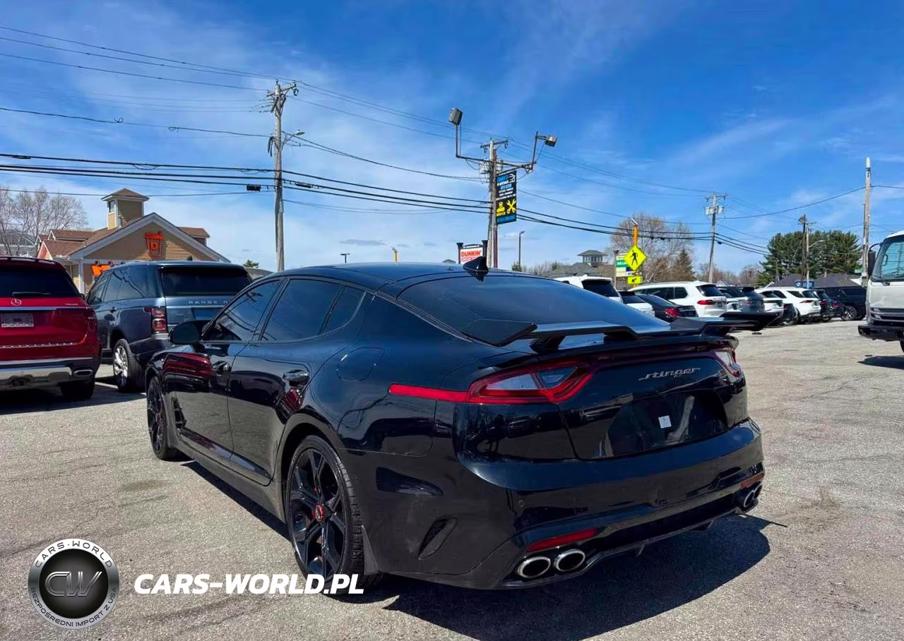 2019 Kia Stinger Gt2 VIN:KNAE55LC9K6057823 - 3