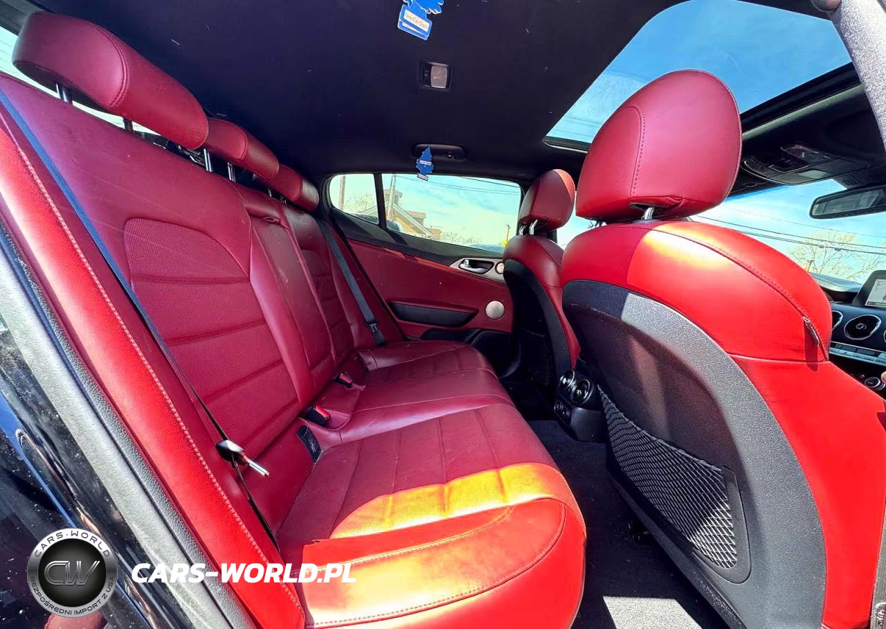2019 Kia Stinger Gt2 VIN:KNAE55LC9K6057823 - 6