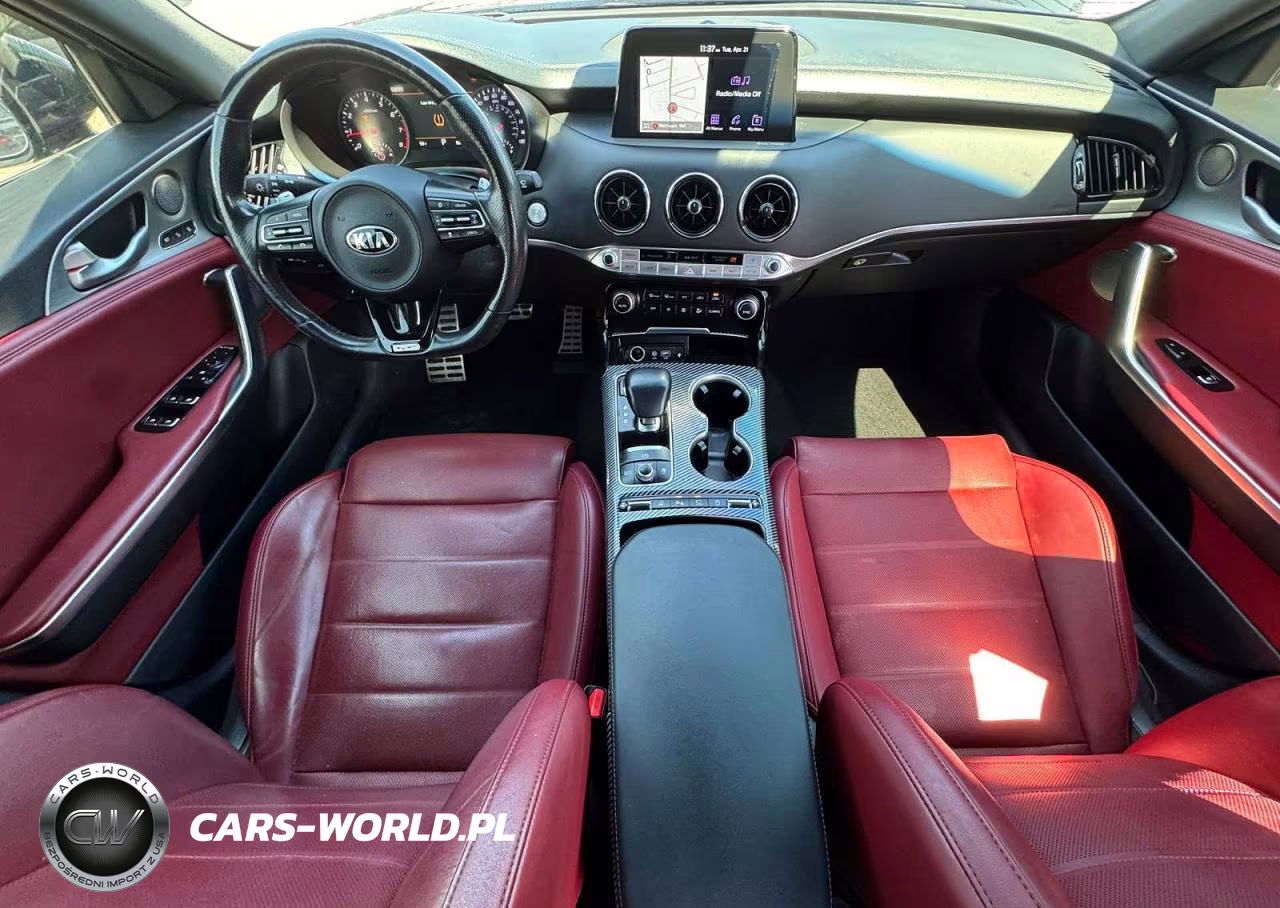 2019 Kia Stinger Gt2 VIN:KNAE55LC9K6057823 - 9