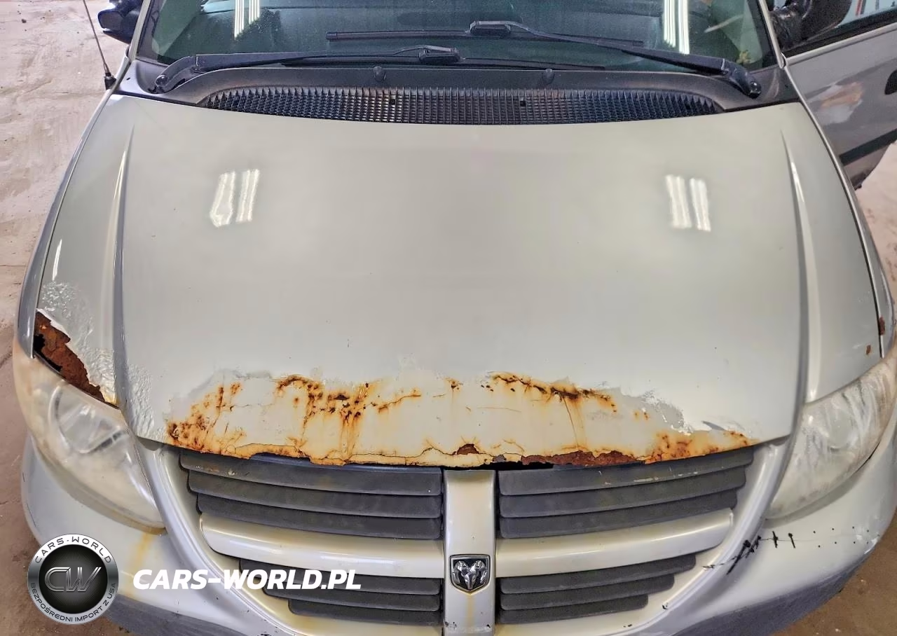 2005 Dodge Caravan Se VIN:1D4GP25R55B395501 - 12