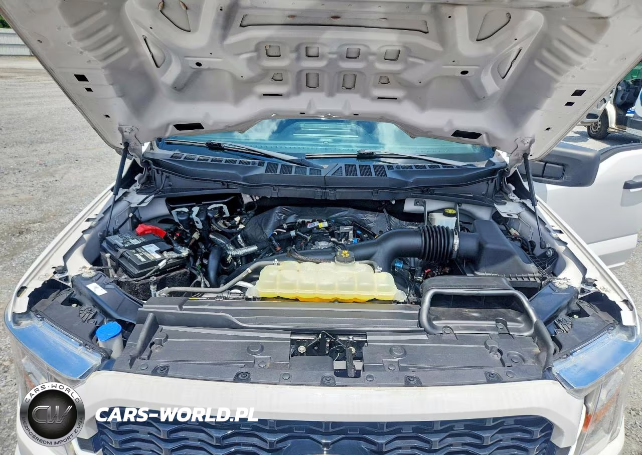 2021 Ford F150 Supercrew VIN:1FTEW1EP8MFB60193 - 11