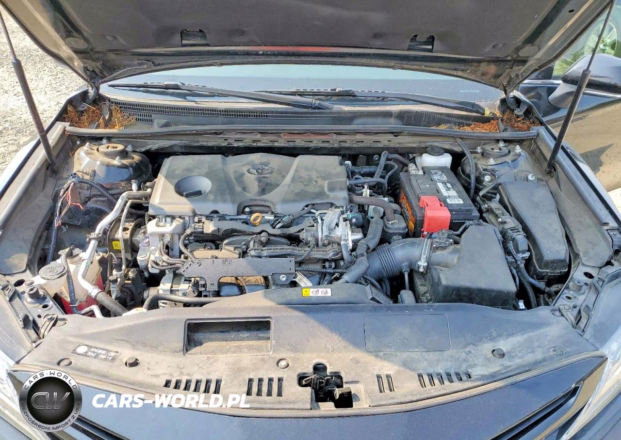 2019 Toyota Camry Xse VIN:4T1B61HK2KU293796 - 11