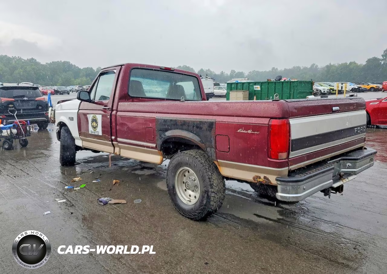1996 Ford F150 VIN:1FTEF14N8TNA07043 - 2