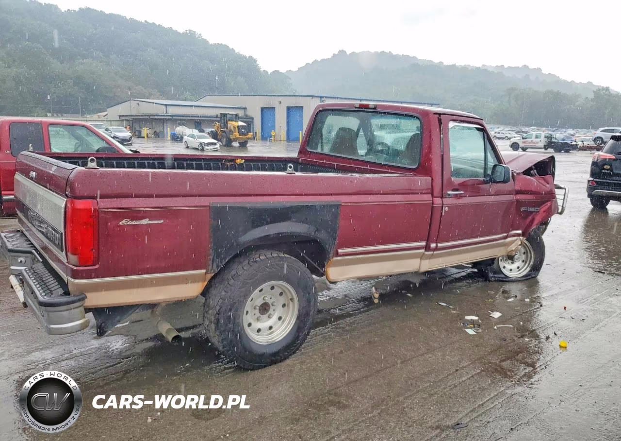 1996 Ford F150 VIN:1FTEF14N8TNA07043 - 3