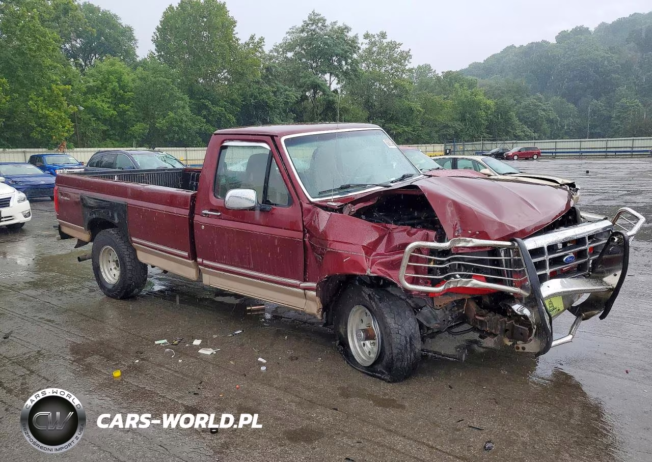 1996 Ford F150 VIN:1FTEF14N8TNA07043 - 4