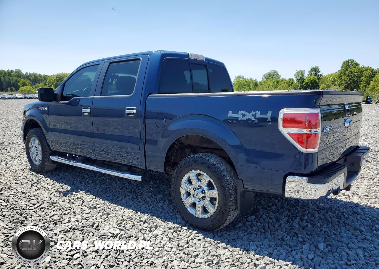 2014 Ford F150 Supercrew VIN:1FTFW1EF9EFC89668 - 2
