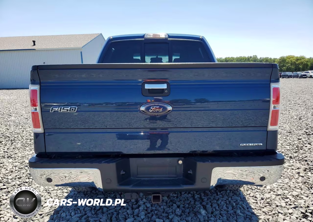2014 Ford F150 Supercrew VIN:1FTFW1EF9EFC89668 - 6