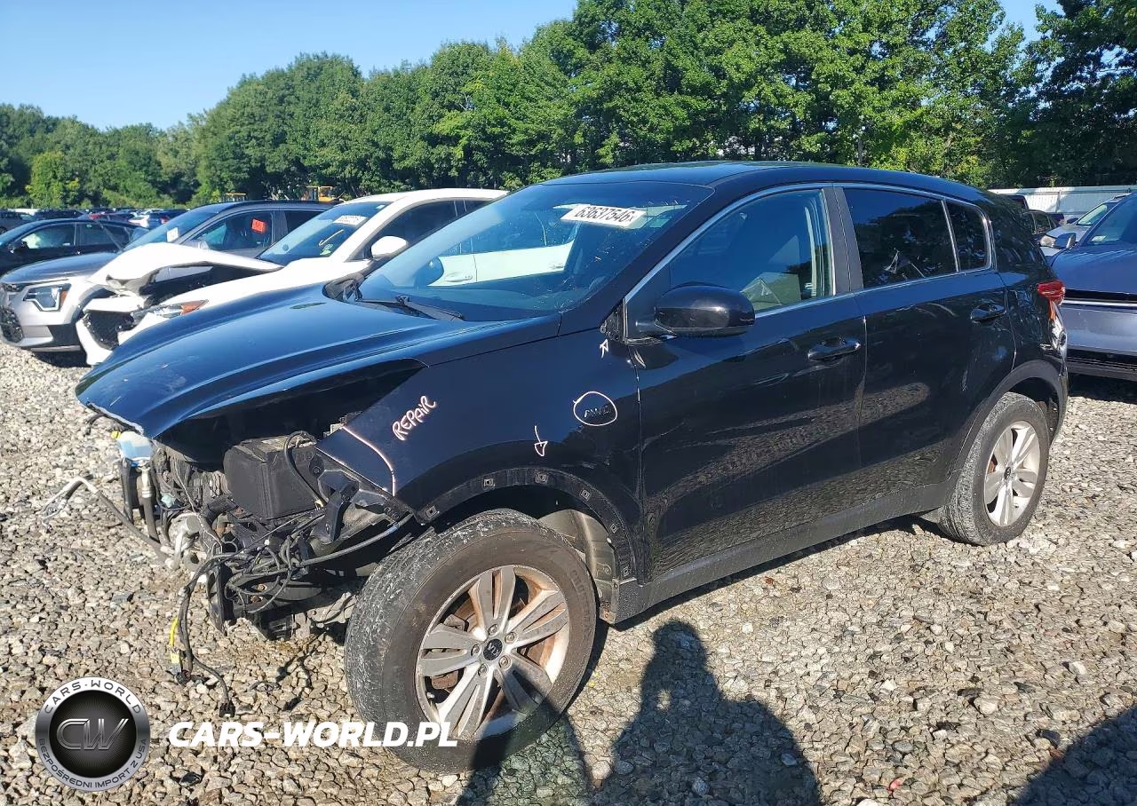 2019 Kia Sportage Lx VIN:KNDPMCAC5K7501215 - 1