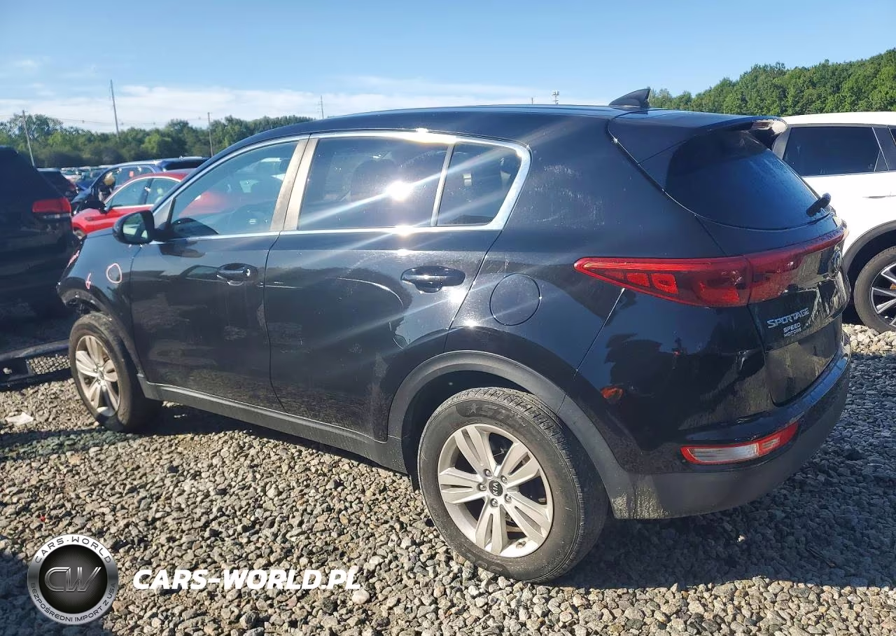 2019 Kia Sportage Lx VIN:KNDPMCAC5K7501215 - 2