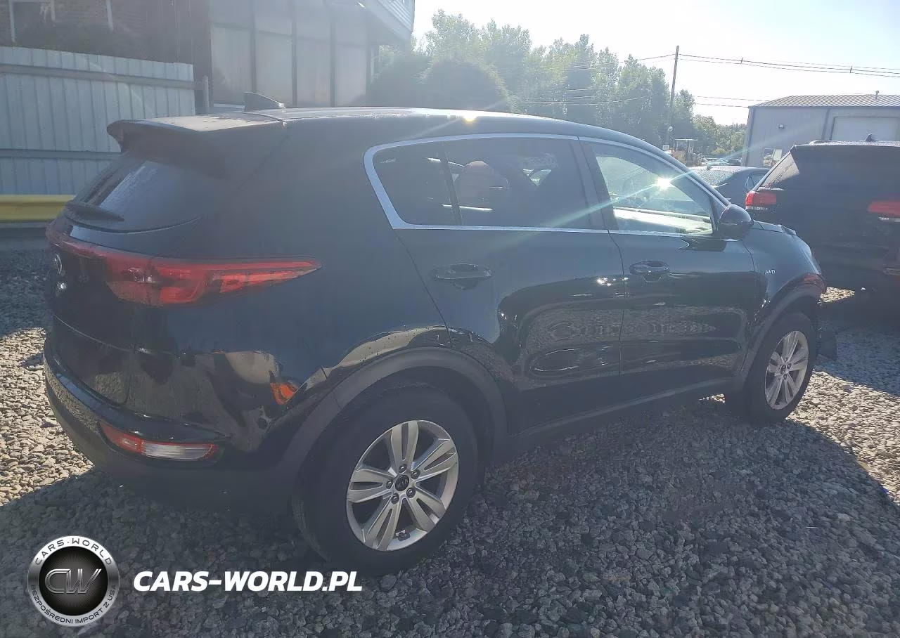 2019 Kia Sportage Lx VIN:KNDPMCAC5K7501215 - 3