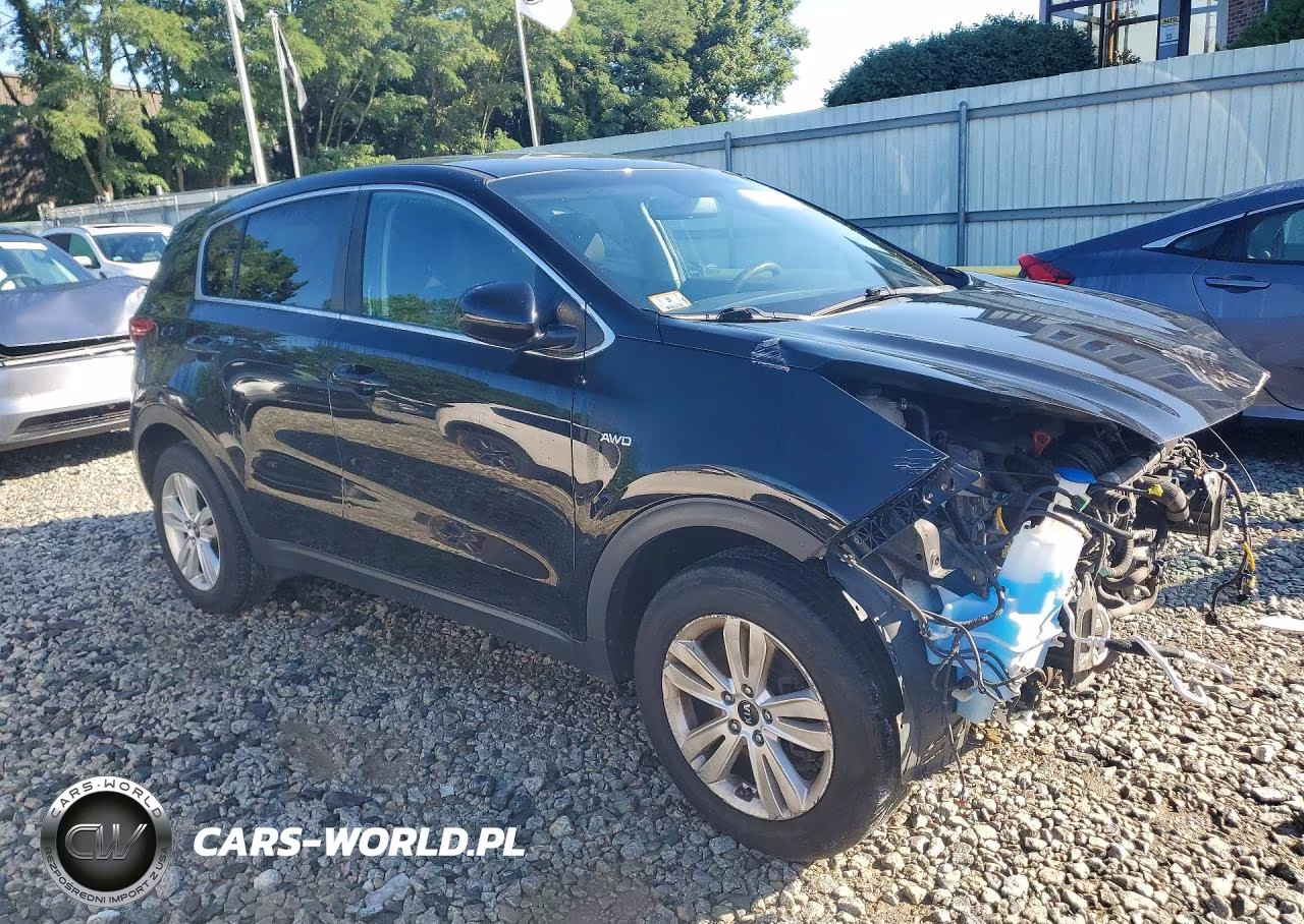 2019 Kia Sportage Lx VIN:KNDPMCAC5K7501215 - 4