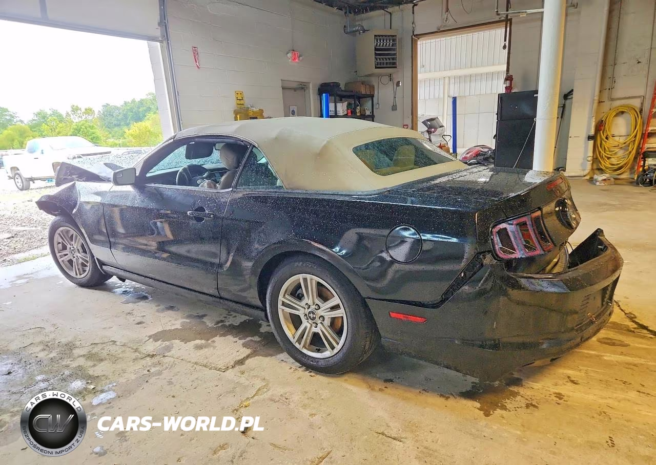 2014 Ford Mustang VIN:1ZVBP8EM2E5331555 - 2