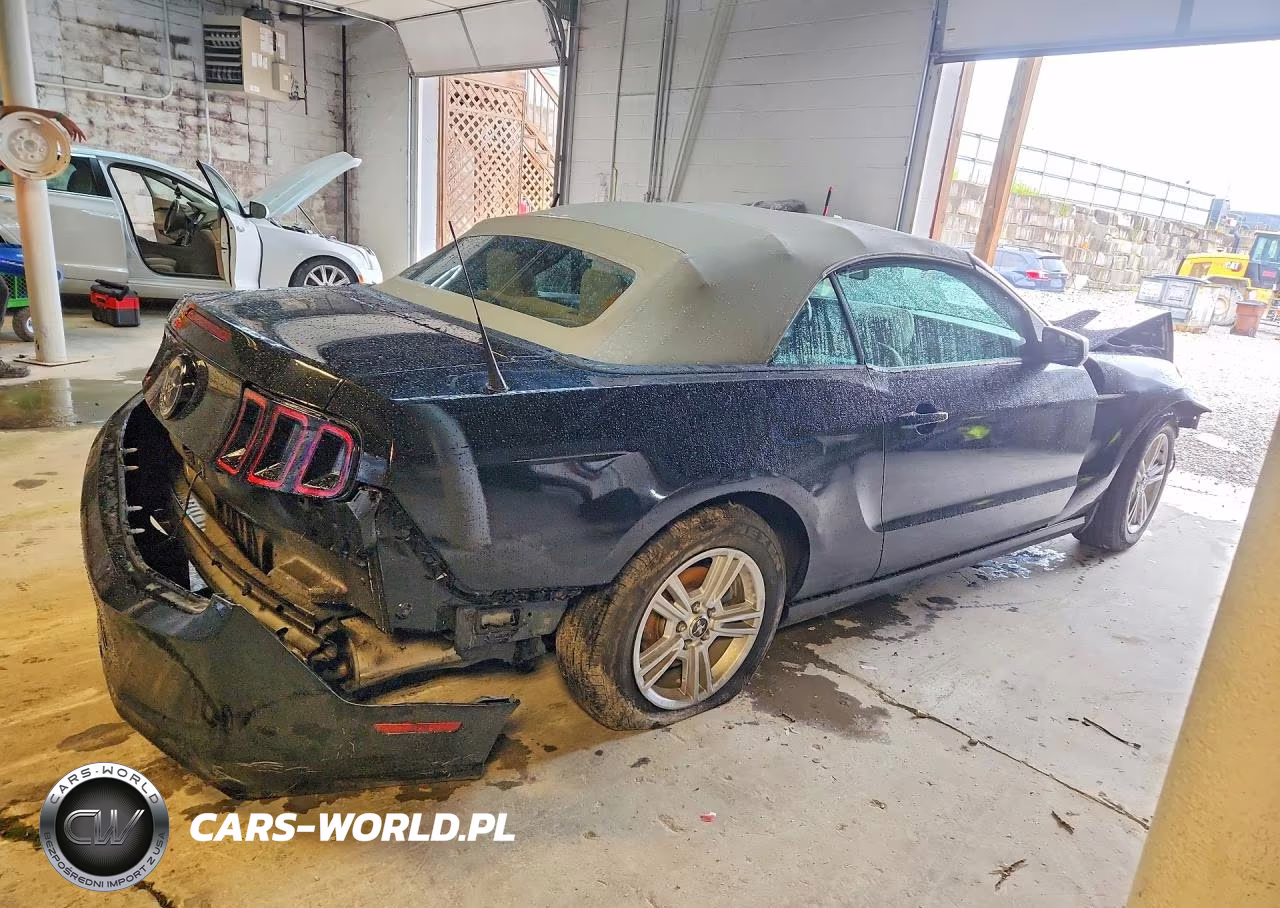 2014 Ford Mustang VIN:1ZVBP8EM2E5331555 - 3
