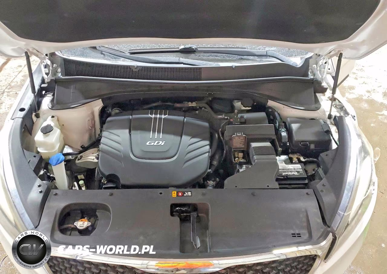 2017 Kia Sorento Lx V6 VIN:5XYPGDA55HG240551 - 12