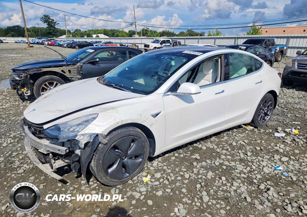 2020 Tesla Model 3 Standard Range Plus Rear-Wheel Drive-Standard Range Rear-Wheel Drive