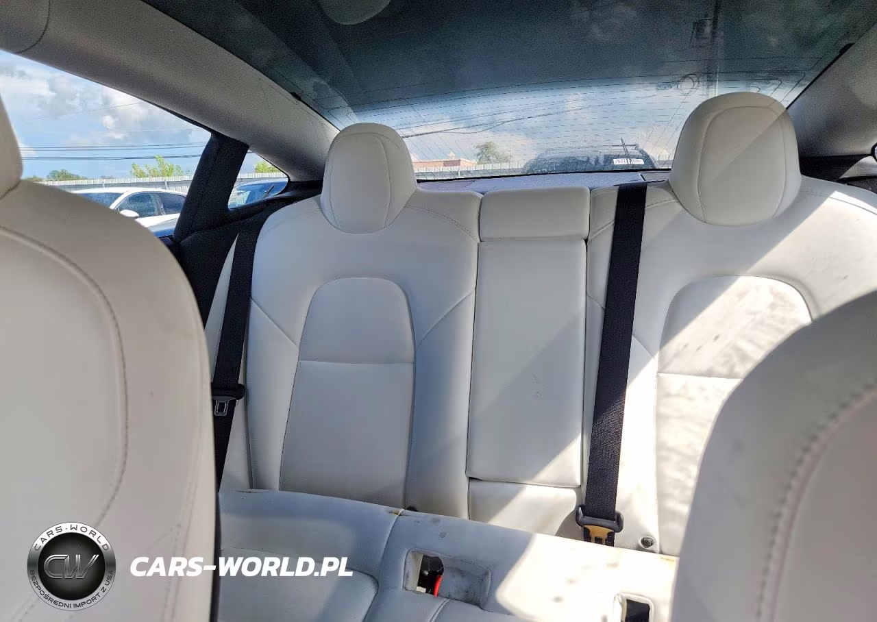 2020 Tesla Model 3 Standard Range Plus Rear-Wheel Drive-Standard Range Rear-Wheel Drive VIN:5YJ3E1EA7LF793311 - 10