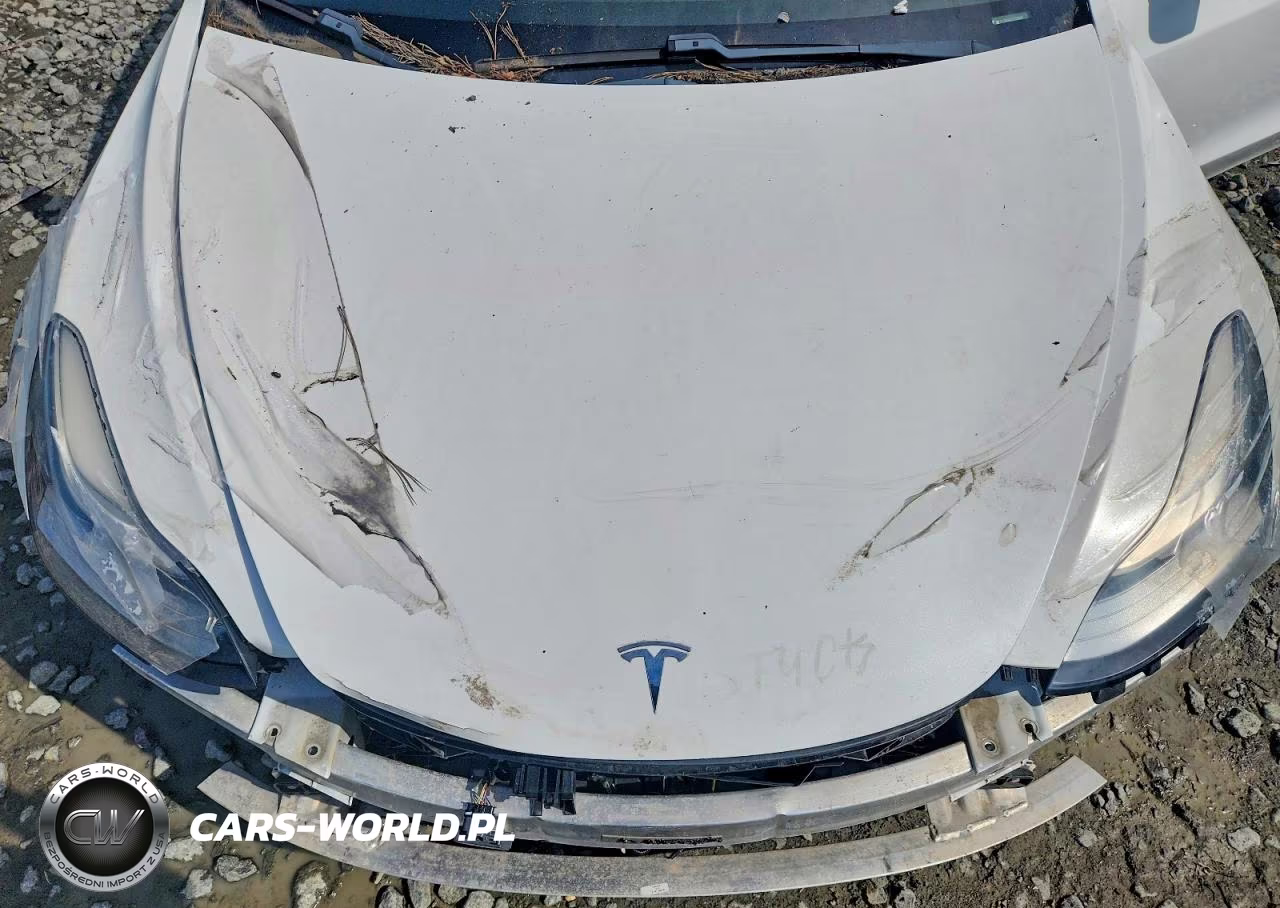2020 Tesla Model 3 Standard Range Plus Rear-Wheel Drive-Standard Range Rear-Wheel Drive VIN:5YJ3E1EA7LF793311 - 11