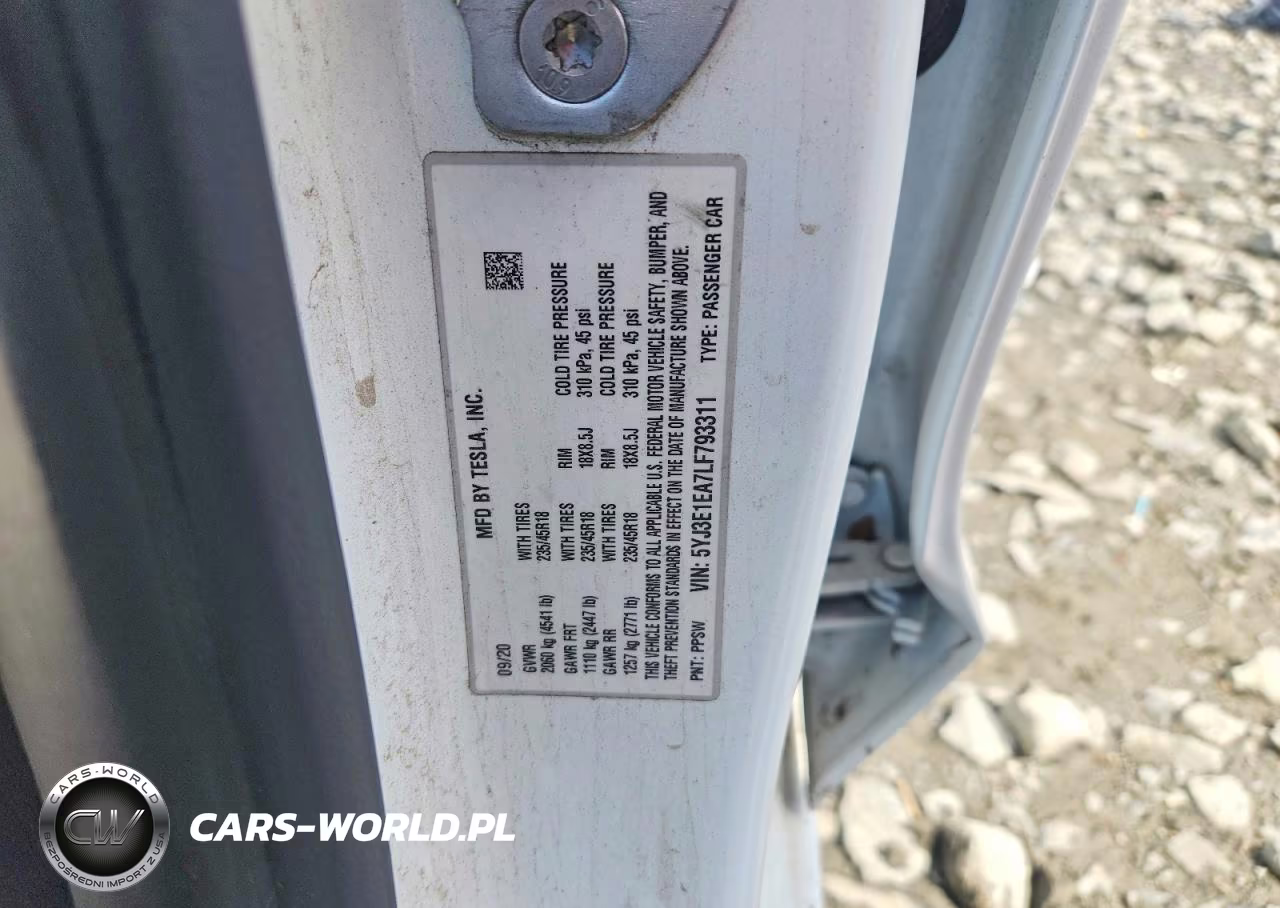 2020 Tesla Model 3 Standard Range Plus Rear-Wheel Drive-Standard Range Rear-Wheel Drive VIN:5YJ3E1EA7LF793311 - 12