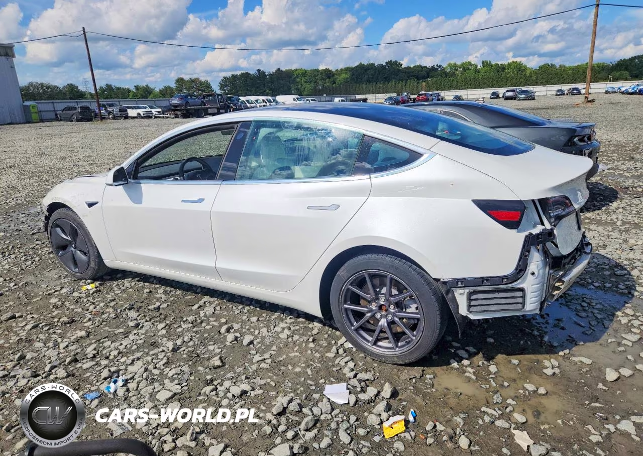 2020 Tesla Model 3 Standard Range Plus Rear-Wheel Drive-Standard Range Rear-Wheel Drive VIN:5YJ3E1EA7LF793311 - 2