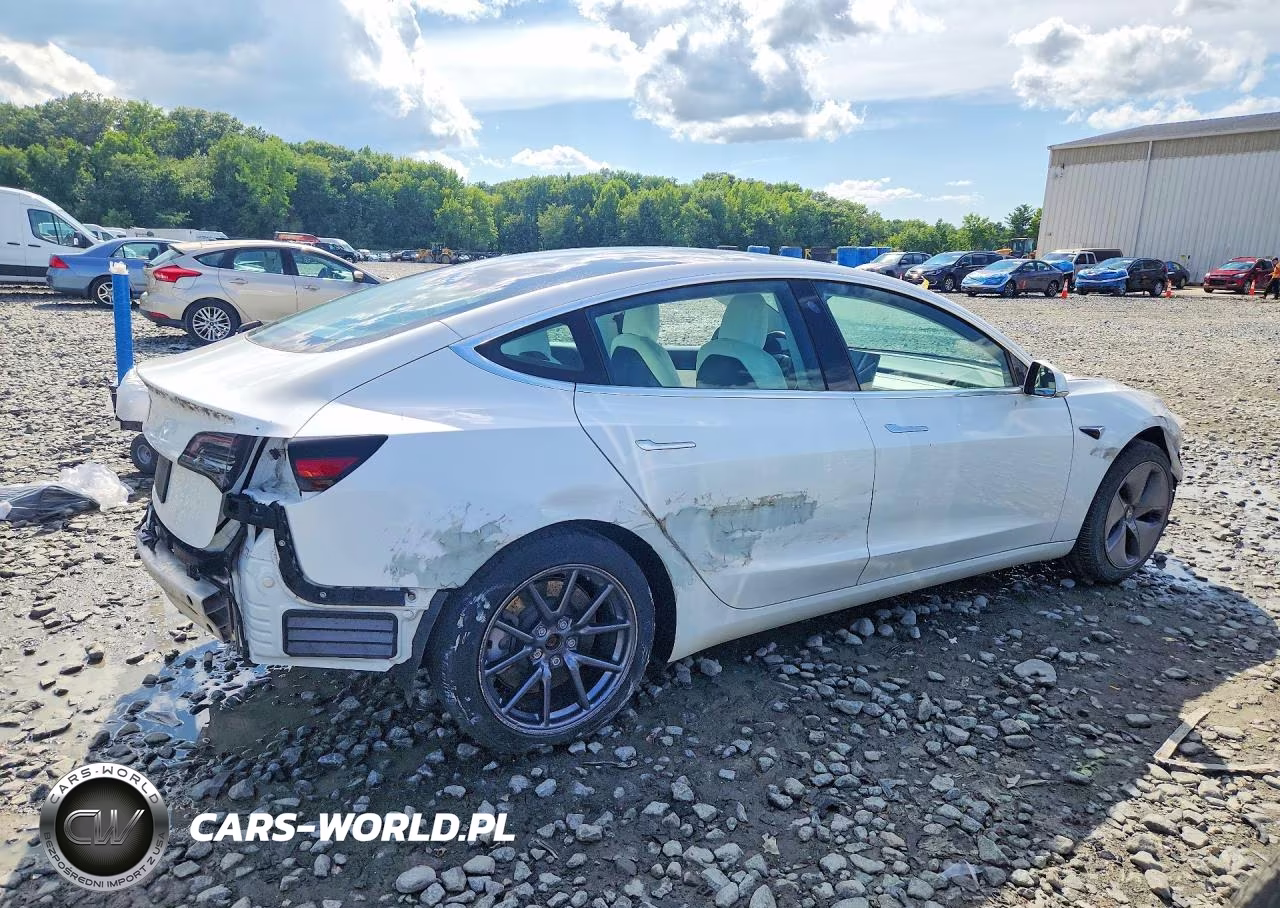 2020 Tesla Model 3 Standard Range Plus Rear-Wheel Drive-Standard Range Rear-Wheel Drive VIN:5YJ3E1EA7LF793311 - 3