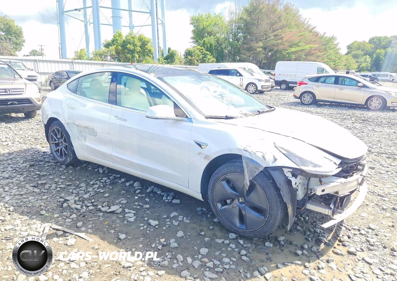 2020 Tesla Model 3 Standard Range Plus Rear-Wheel Drive-Standard Range Rear-Wheel Drive VIN:5YJ3E1EA7LF793311 - 4