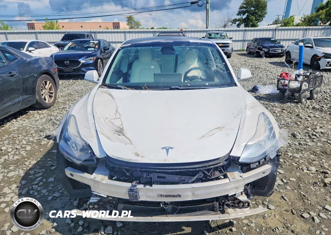 2020 Tesla Model 3 Standard Range Plus Rear-Wheel Drive-Standard Range Rear-Wheel Drive VIN:5YJ3E1EA7LF793311 - 5